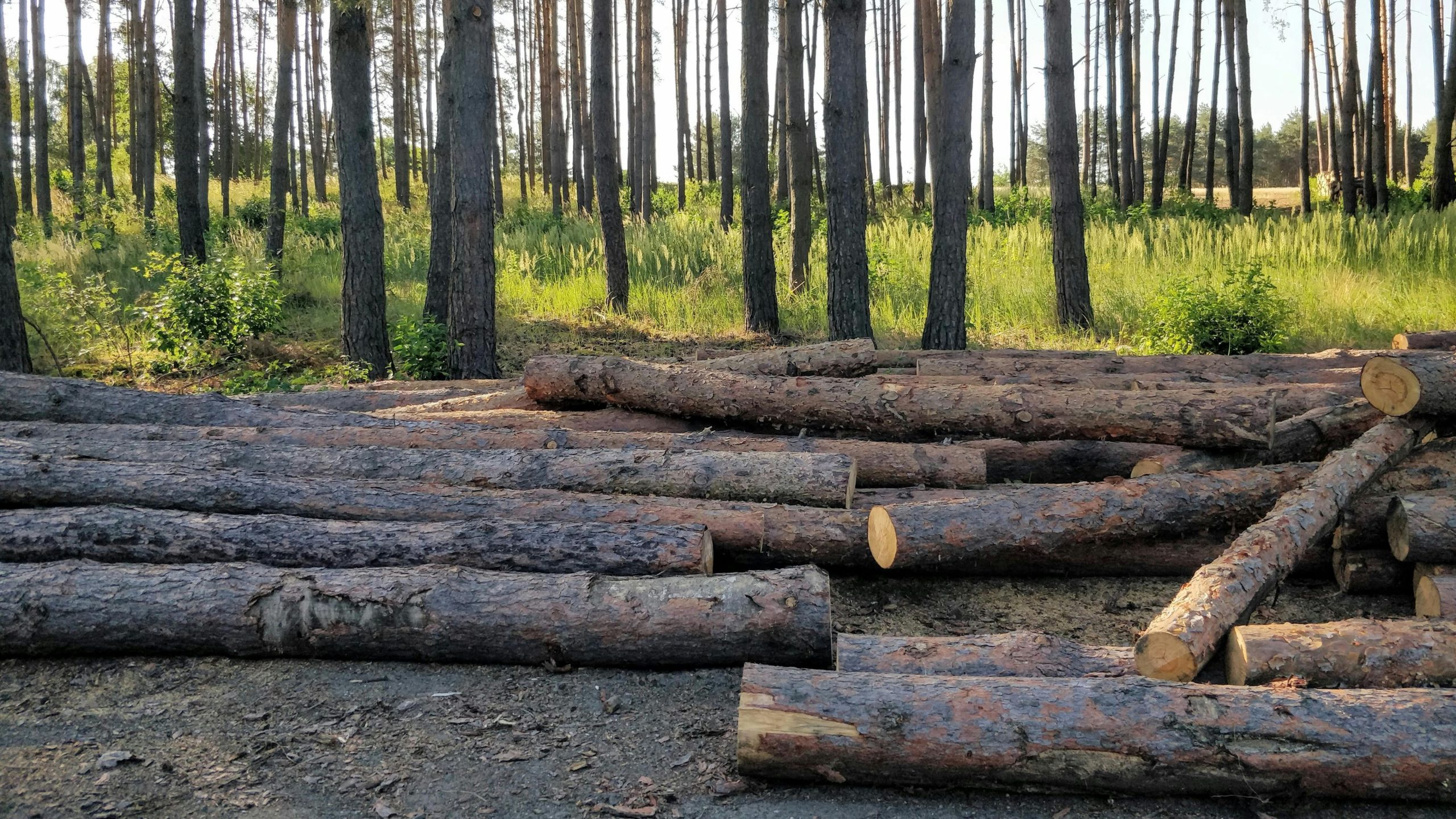 salinan dari brand kit and brand guideline untuk bisnis digital.pptx (4)