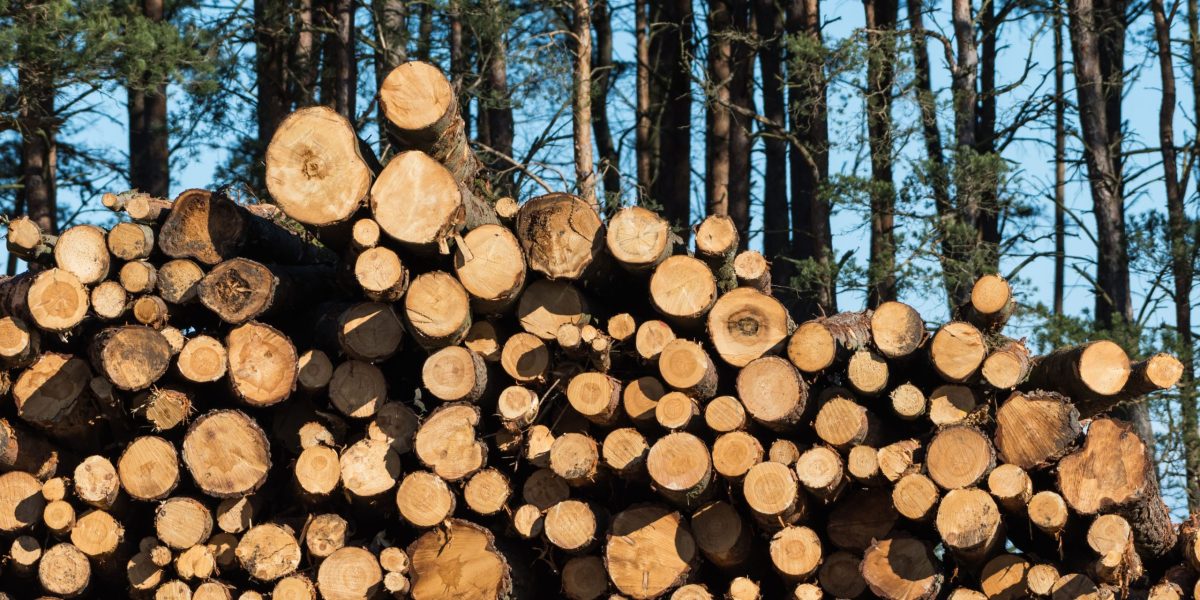 Aurel Jati Furniture - Supplier Kayu Jati salinan dari brand kit and brand guideline untuk bisnis digital.pptx (3)