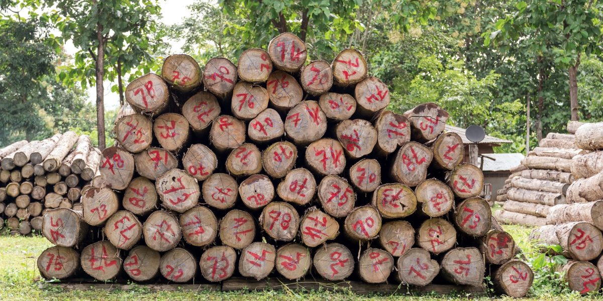 Aurel Jati Furniture - Supplier Kayu Jati salinan dari brand kit and brand guideline untuk bisnis digital.pptx